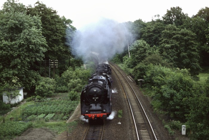 01 137 + 03 001 vor Sonderzug an der Einfahrt von Arnsdorf, 19.06.1982