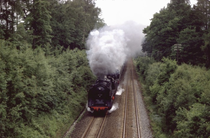 01 137 + 03 001 Sonderzug hinter Langebrück, am 20.06.1982