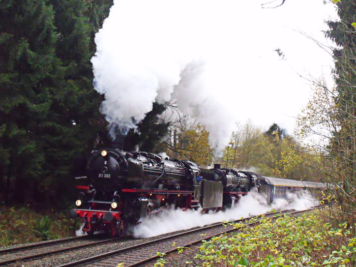 01 202 + 01 150 mit IGE-Sonderzug DPE 25045 (8 Schnellzugwagen) mit herrlich klassisch lautem Krach den Berg empor, auf der Schiefen Ebene vor Marktschorgast (bei km 81,0) um 11:54h am 09.11.2013