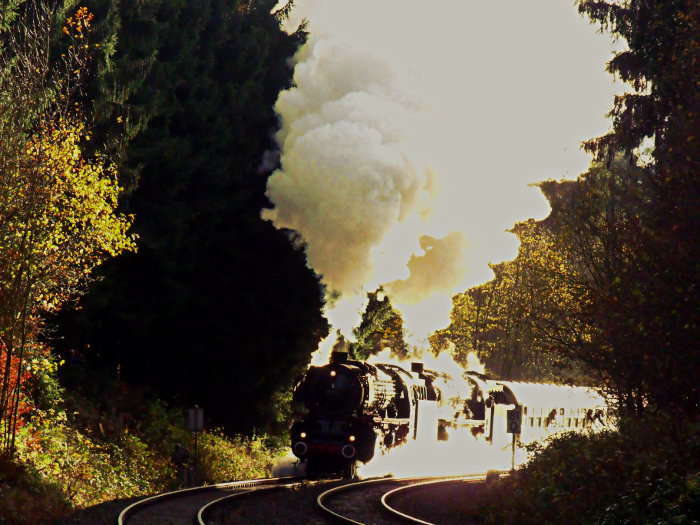 01 150 + 01 202 mit DPE 25048, genauso schön und laut, wieder bei km 81,0 vor Marktschorgast, um 15:09h am 09.11.2013