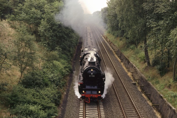 01 1100 mit Sonderzug wieder nach Westerland und wieder nördlich von Bredstedt am Stoll-Berg, um 10:54h am 13.08.1989
