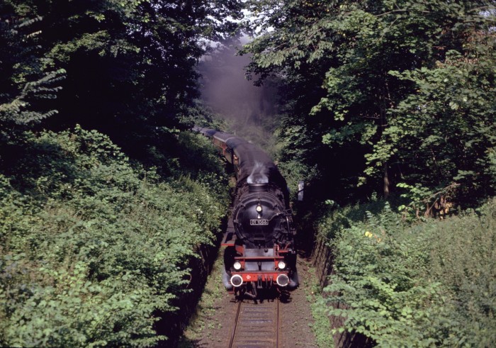 01 1066 mit Sonderzug im Plöner Schloßpark, 28.07.1990