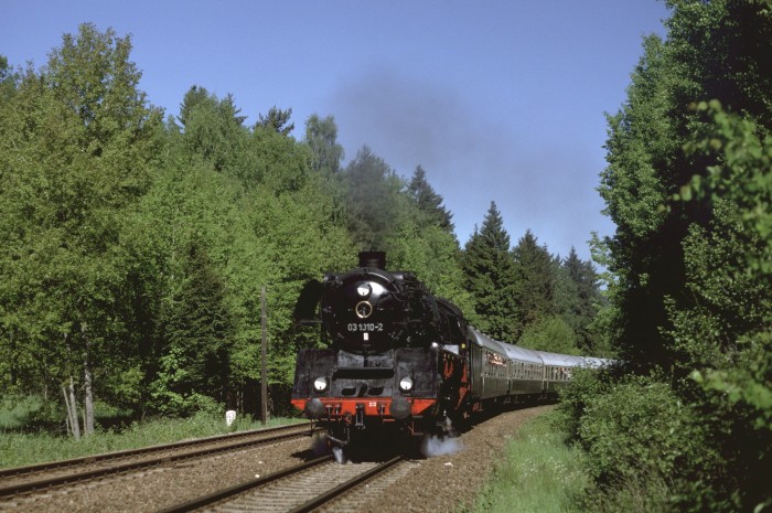 03 1010 im Wald hinter Raun, am 24.05.2001