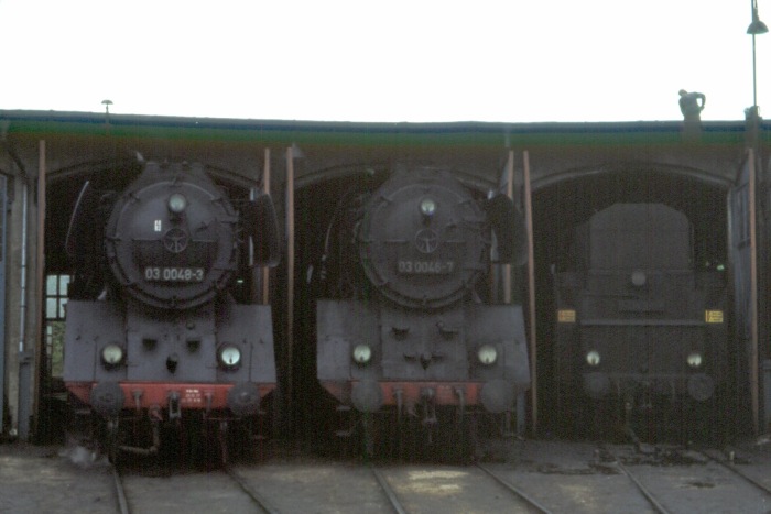03 0048 und 03 0046 neben weiterer Öllok im Schuppen, Bw Stralsund, im September 1978