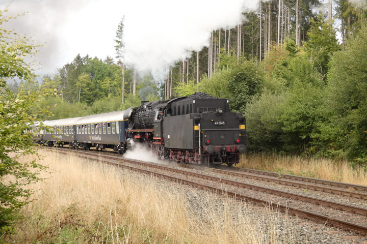 44 546 schiebt Zug 56722 N.W.→Marktschorgast bei Km 80,8, um 16:31h am 10.09.2022