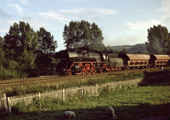 41 1150 mit Gz nach Göschwitz, einfahrend in Zeutsch, 26.08.1982