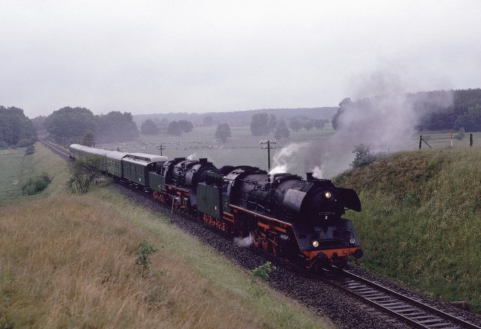 41 1231 + 50 3545 Sonderzug bei Friedrichsruhe (Mecklenburg), um 9:30h am 09.06.1990