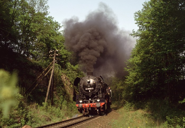44 0093 mit DNG 3 Gera->Saalfeld-Arnstadt hinter Weida bei Grochwitz, am 05.05.2000