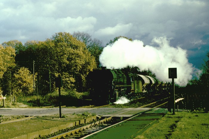 44 0453 Güterzug Nauen->Wittenberge Durchfahrt Bad Wilsnack, 07.11.1981