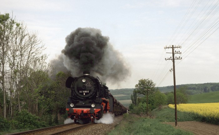 44 1486 mit Lg 60139 bei Gorsleben, 05.05.1993