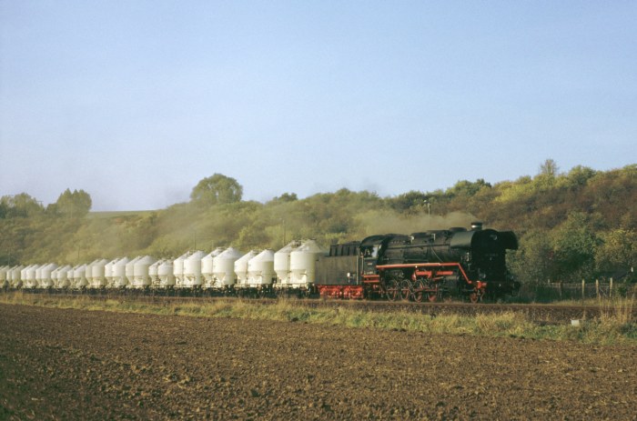 44 1486 mit Sondergüterzug einfahrend Wasserthaleben, 20.10.2001
