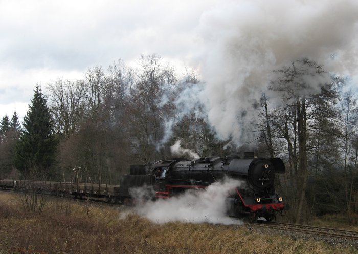 44 2546 mit Hackschnitzel-Spezialgüterzug Dgz 64863 Bergfahrt zwischen Greiselbach und Fremdingen, 12:30h, 23.11.2009