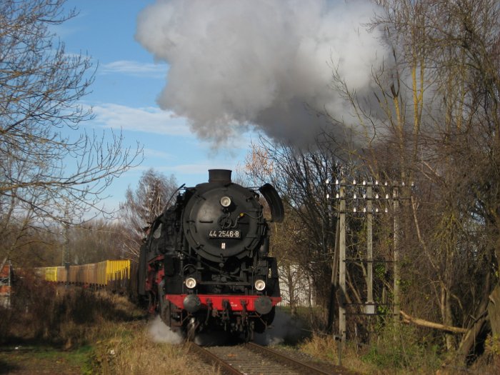 44 2546 mit Hackschnitzel-Spezialgüterzug Dgz 64863 an der Einfahrt von Nördlingen, 13:00h am 23.11.2009