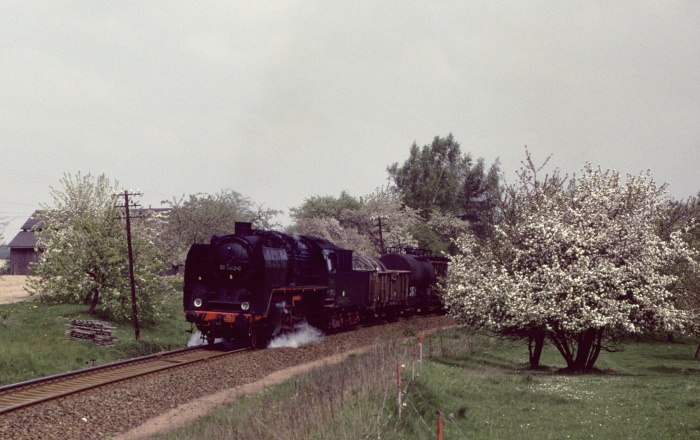 50 1002 vor Ng 61348 vor Deutschenbora, 06.05.1983