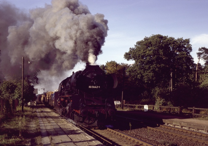 50 3642 mit Ng 61851 Ausfahrt Dergenthin, um 15:36h am 01.10.1983
