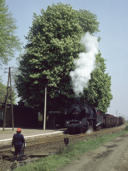 50 3557 Rangieren mit Ng 64784 in Schwanebeck, 11:45h am 09.05.1982
