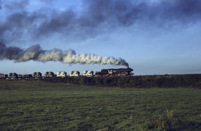52 8150 mit Güterzug nach Weferlingen Ausfahrt Höringen, 29.09.1982