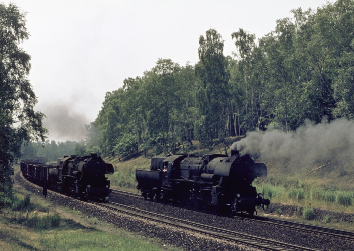 52 8130 mit Gz aufwärts begegnet 52 8130 Lz abwärts, im Wald bei Klotzsche, 17.07.1976