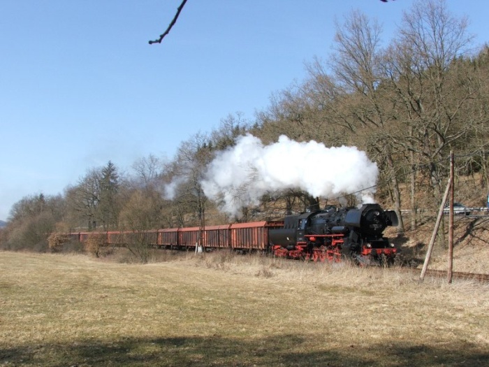 52 8075 mit leerem Holzzug ->Schleusingen bei Kloster Veßra, April 2006