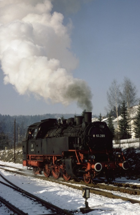 64 289 Umsetzen in Gammertingen, am 06.01.1979