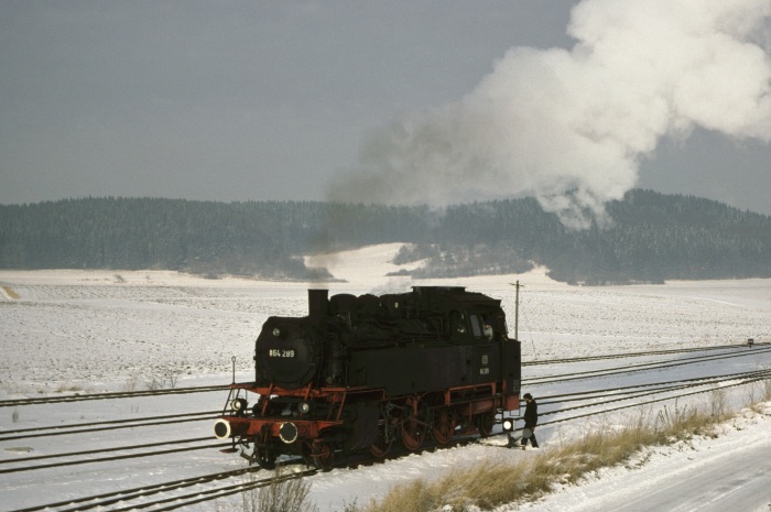 64 289 Umsetzen in Kleinengstingen, am 06.01.1979