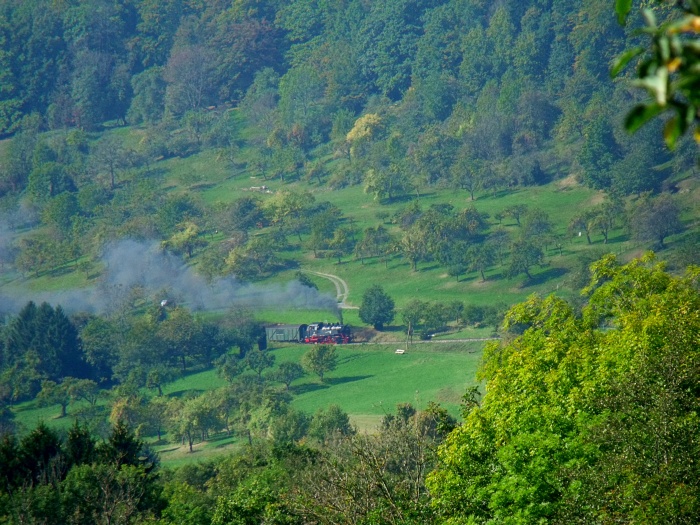 64 419 jetzt wieder mit Zug von Schorndorf nach Welzheim, am Hang oberhalb von Klaffenbach, fotografiert von Wiese am Strümpfelbachtal aus, um 13:37h am 02.10.2011