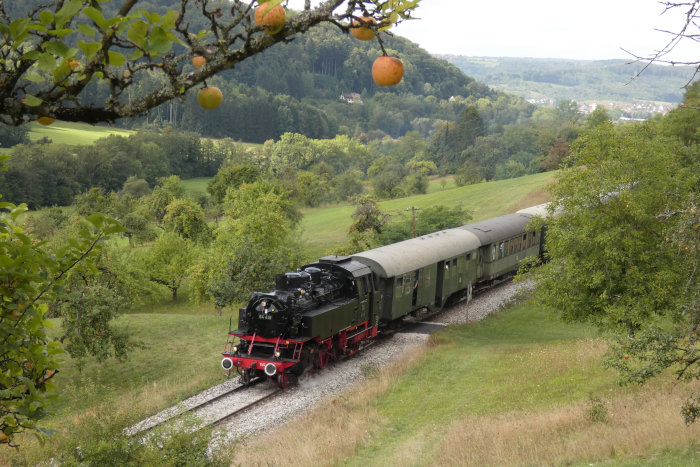 64 419 vorm Zug nach Welzheim (es schiebt hier unsichtbar die 212nbsp;084) bei Klaffenbach, um 11:15h am 06.09.2020