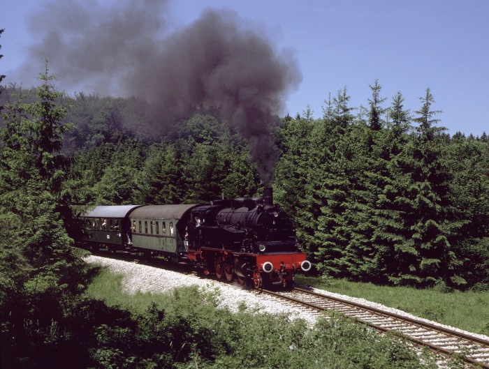 75 1118 im Wald hinter Amstetten, am 15.06.1996