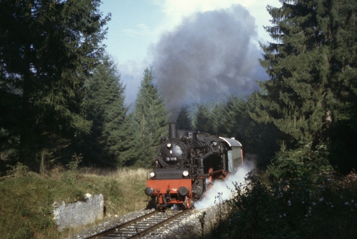 75 1118 im Wald hinter Amstetten, am 25.09.2005