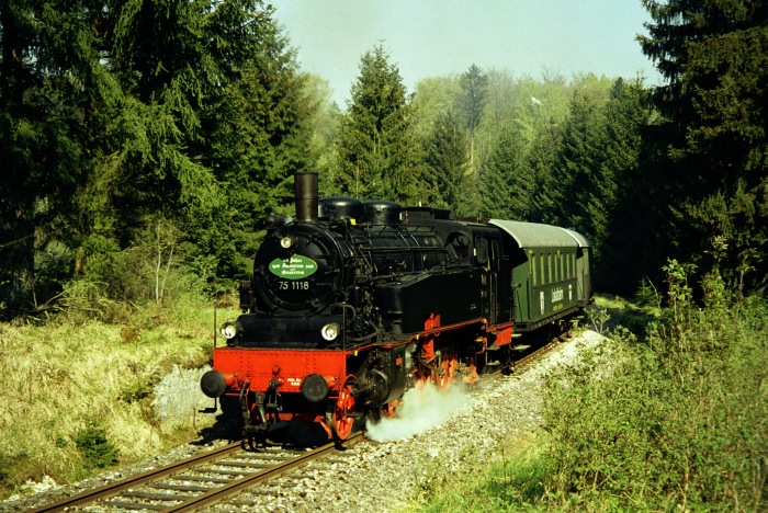 75 1118 im Wald hinter Amstetten, am 07.05.2006