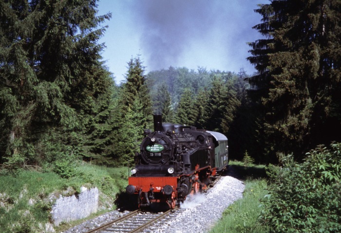 75 1118 im Wald hinter Amstetten, am 11.06.2006