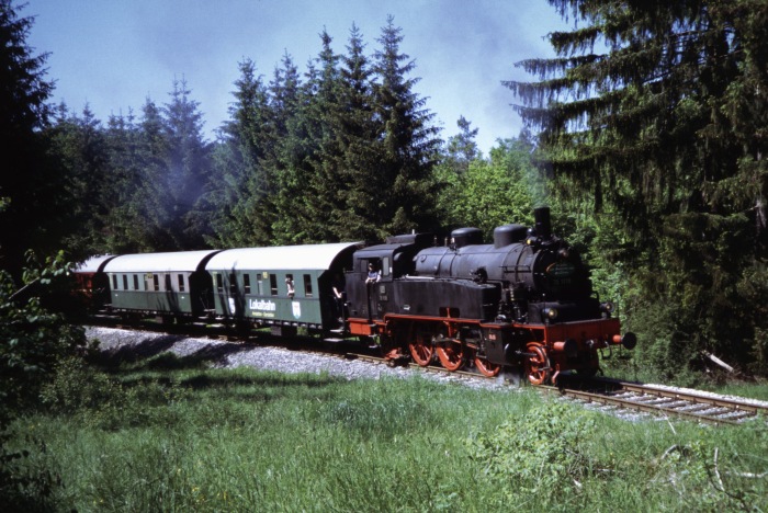 75 1118 im Wald hinter Amstetten, am 11.06.2006