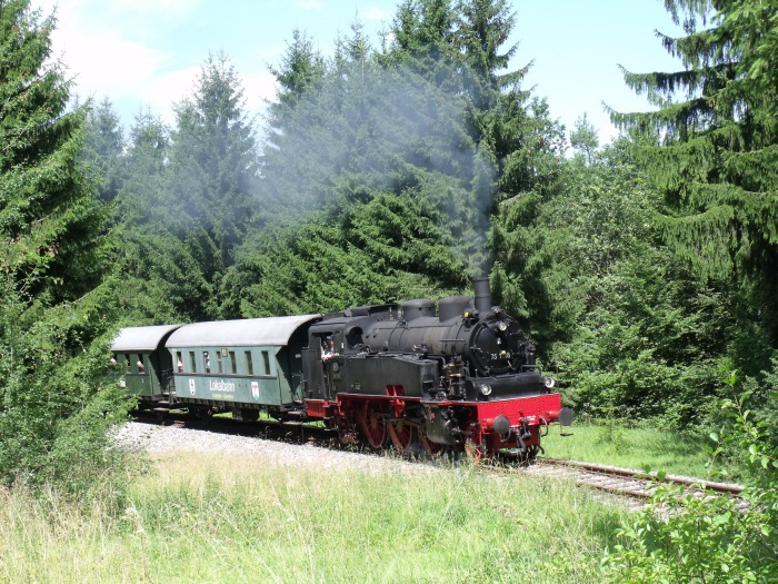 75 1118 am selben Ort: im Wald hinter Amstetten, aber etwa 2 Jahre später: um 12:45h am 01.08.2010