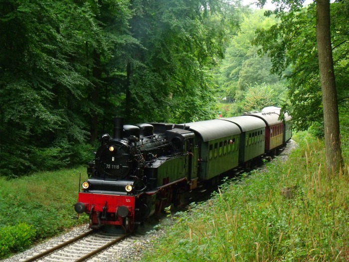 75 1118 am oberen Benzwang, Steigung im Wald unterhalb von Stubersheim, um 15:48h am 04.09.2016