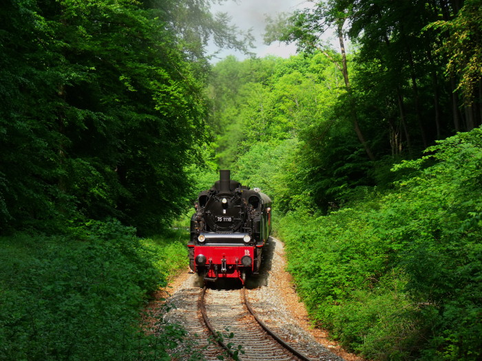 75 1118 am oberen Benzwang, Steigung im Wald unterhalb von Stubersheim, um 9:59h am 10.05.2018