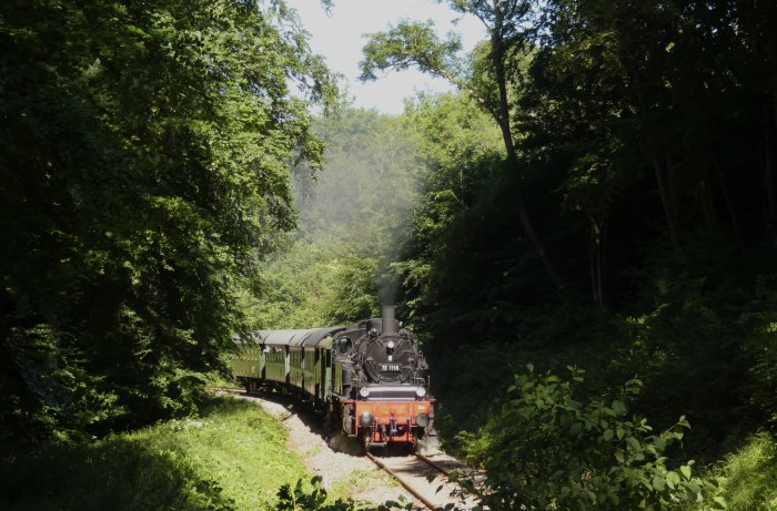 75 1118 am oberen Benzwang, Steigung im Wald unterhalb von Stubersheim, um 9:54h am 21.06.2020