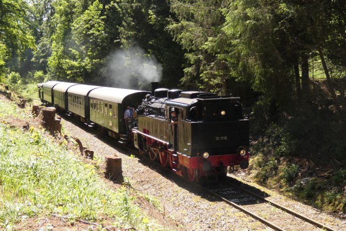 75 1118 Tv Richtung Amstetten abwärts im kleinen Einschnitt am unteren Benzwang nahe dem ex BW-Depot, um 11:56h am 21.06.2020