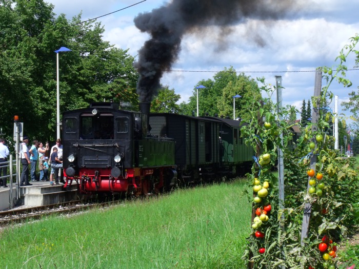 930 Tv vor Sonderzug beim Halt in Linsenhofen, um ca.13:04h am 17.08.2014