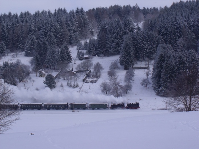 Lok 20 Tv + 930 Tv mit Alb-Bahn-Sonderzug Richtung Schelklingen, Schub: 58 311 Tv, südlich von Münsingen, um 11:56h am 06.01.2017