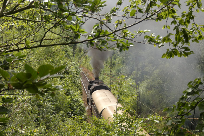 ein fotografischer Nachschuss auf 95 027 mit Sonderzug auf der Rübelandbahn von Blankenburg kommend, im Einschnitt am Eichenberg, um 13:50h am 06.07.2024