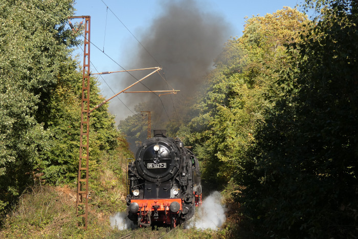95&nbsp;027 mit dem üblichen Sonderzug von Blankenburg nach Rübeland, direkt im Einschnitt am Eichenberg hinter Michaelstein, um 13:40h am 03.10.2025