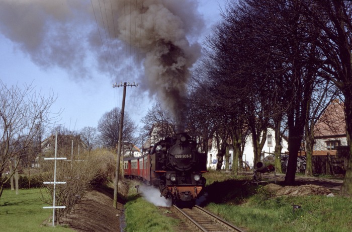 099 901 (99 321) mit P 14143 nun hinter der Kurve an der Ausfahrt von Kühlungsborn West, um 12:00h am 20.04.1992