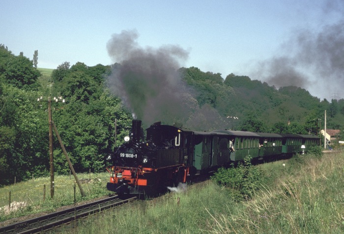 99 1608 mit Sonderzug nach Malter hinter Seifersdorf, am 18.05.2002