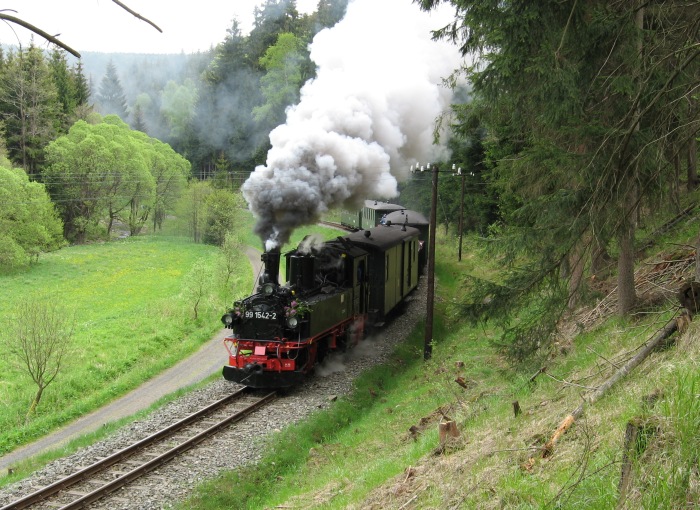 99 1542 im Tal zwischen Schmalzgrube und Schlössel, am 17.05.2007