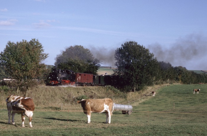 99 716 hinter Reinstetten Richtung Warthausen fahrend, am 03.10.1997