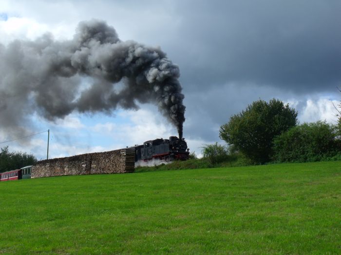 99 716 mit Zug Ochsenhausen-Warthausen hinter Reinstetten, um 12:17h am 09.10.2011