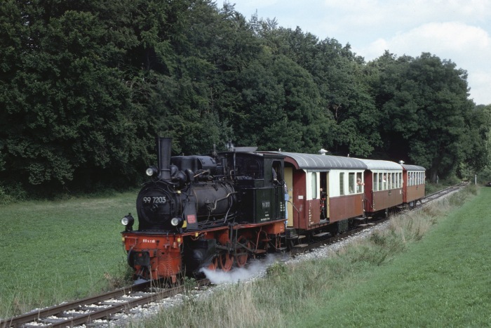 99 7203 am Waldrand mittleres Duital, am 04.09.1994