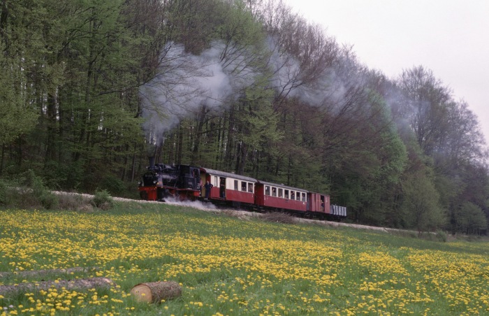 99 7203 an der großen Wiese im unteren Duital, am 01.05.2000