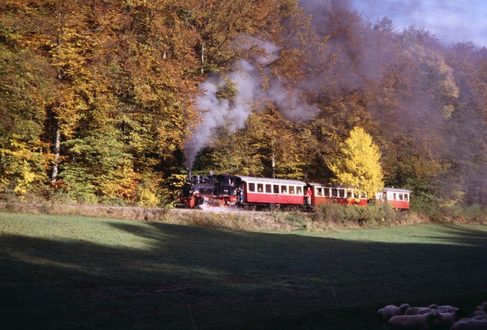 99 7203 im herbstlichen unteren Duital, am 24.10.2004