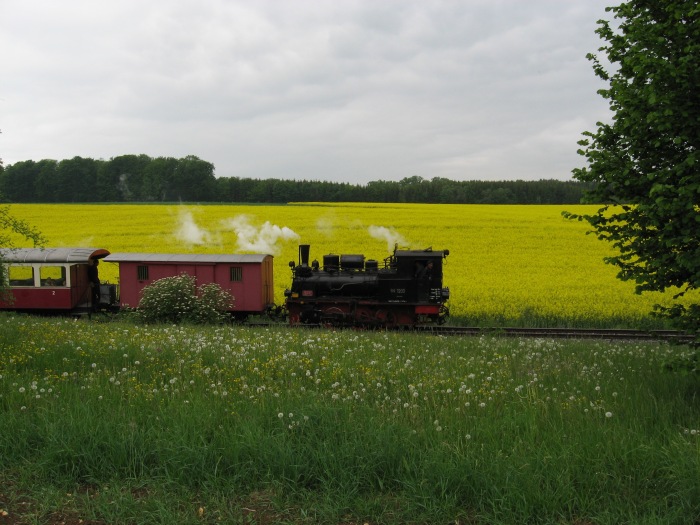 99 7203 Tv abwärts am oberen Duital von Oppingen nach Amstetten fahrend, um 15:30h am 22.05.2008